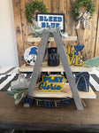3D Tiered Tray Decor - St Louis Blues