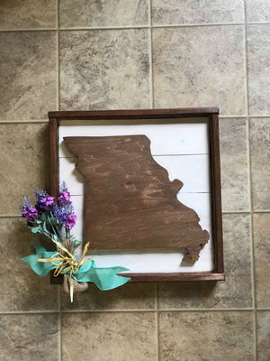 3D Missouri state