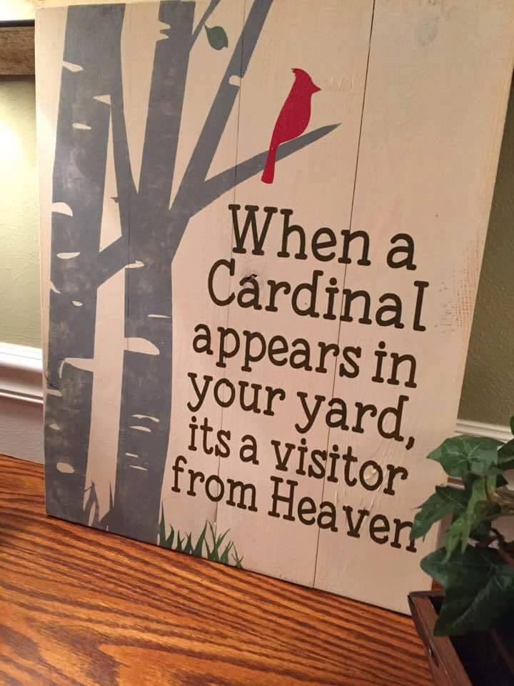 When a cardinal visits your yard vertical
