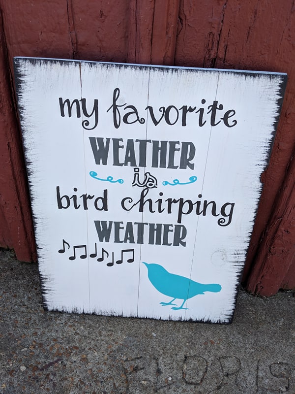 my favorite weather is bird chirping weather