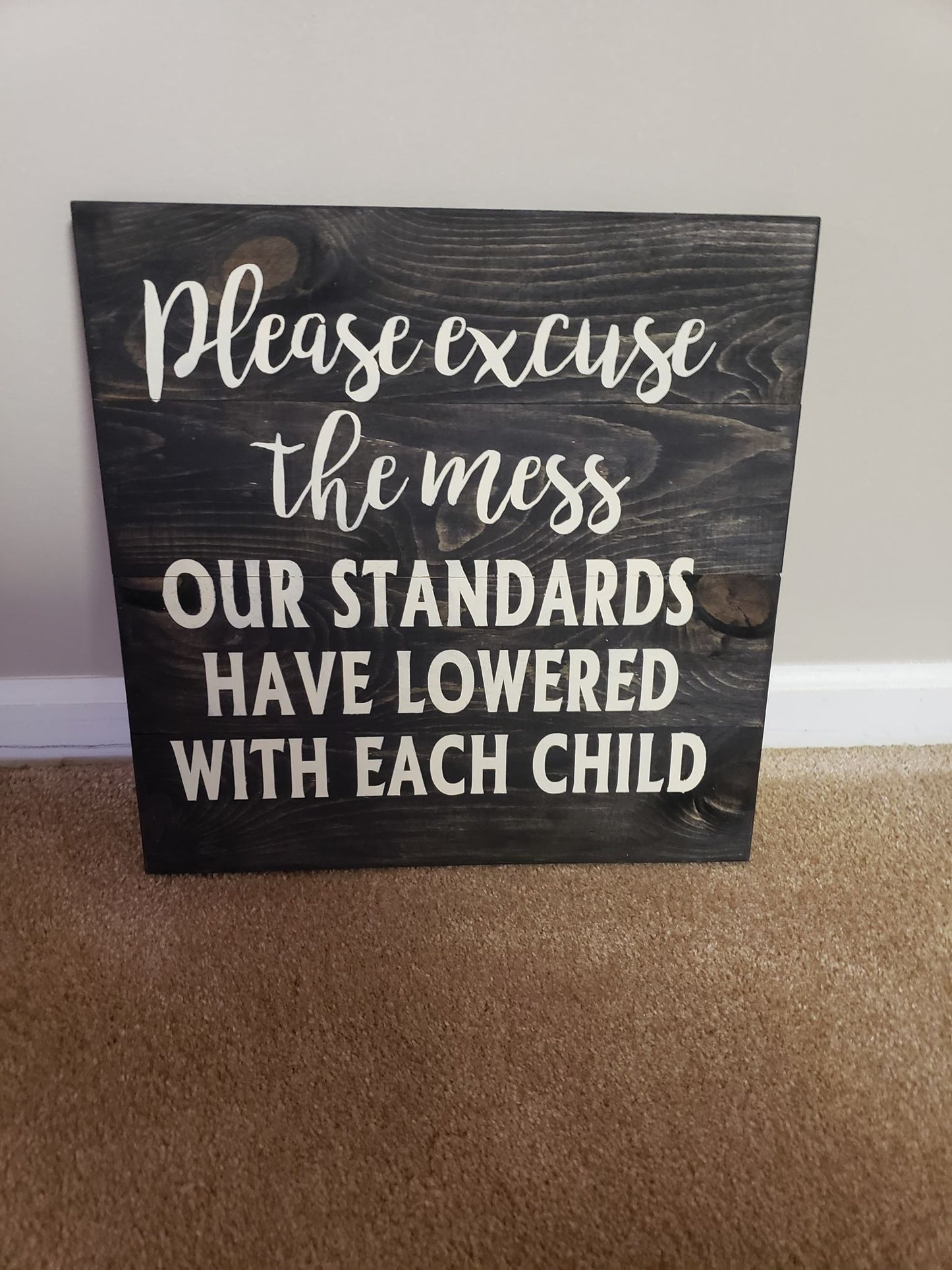 please excuse the mess our standards have lowered with each child