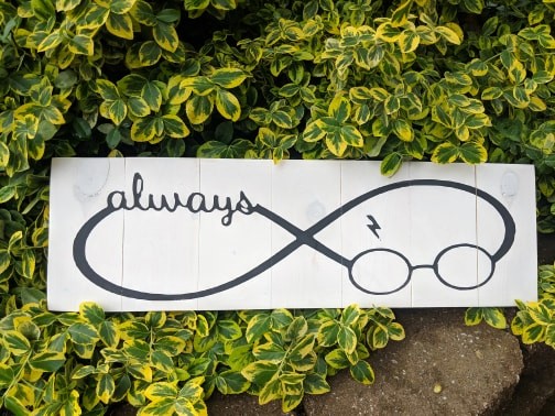 HP-infinity symbol always with glasses