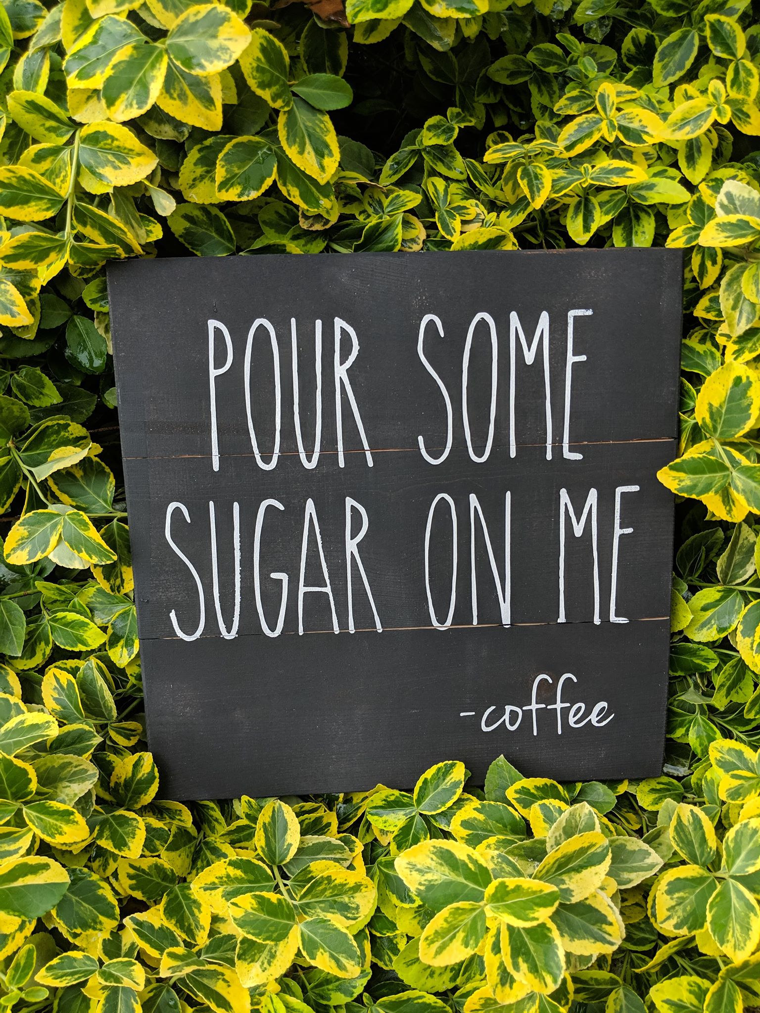 pour some sugar on me - coffee