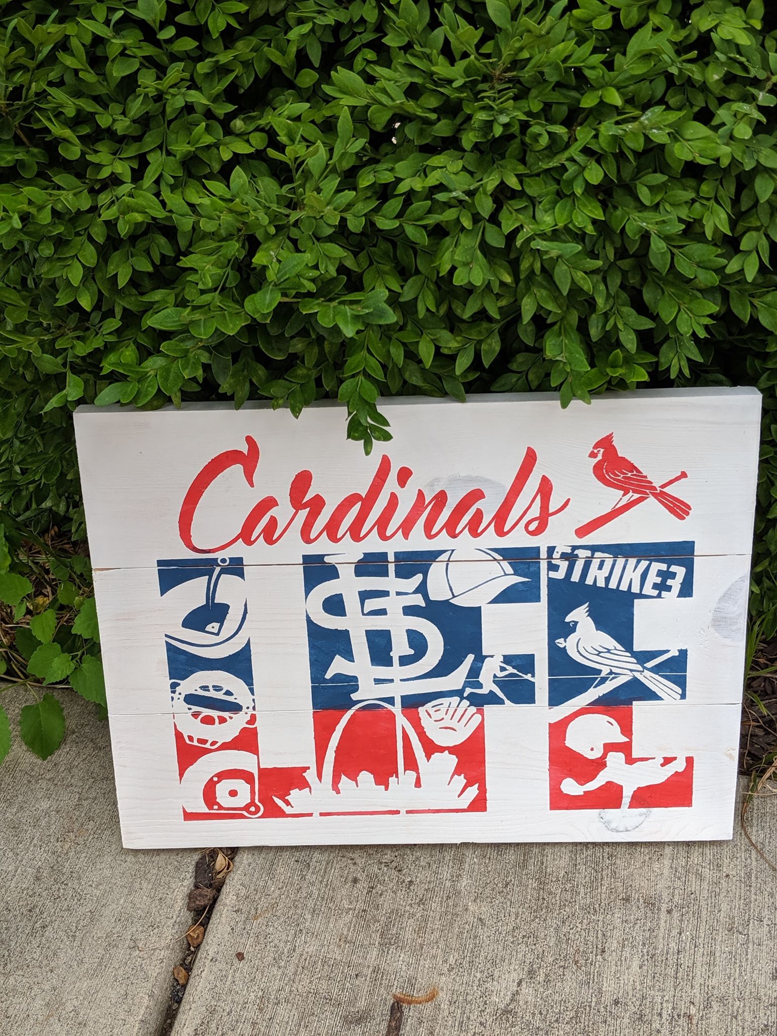 Cardinals life - STL baseball