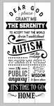 Dear God grant me the serenity to accept that the world doesn't understand autism