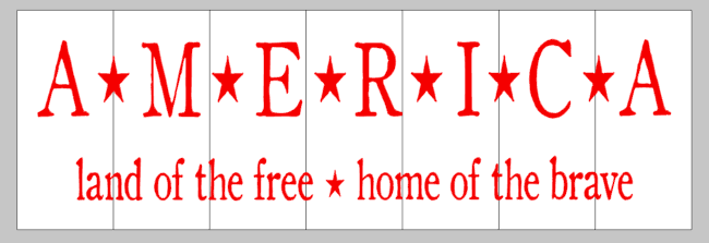 America land of the free