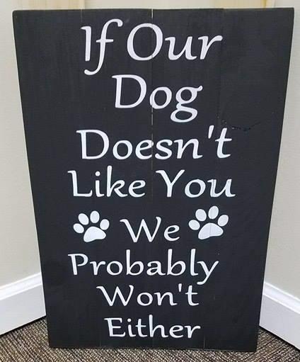 If our dog doesn't like you