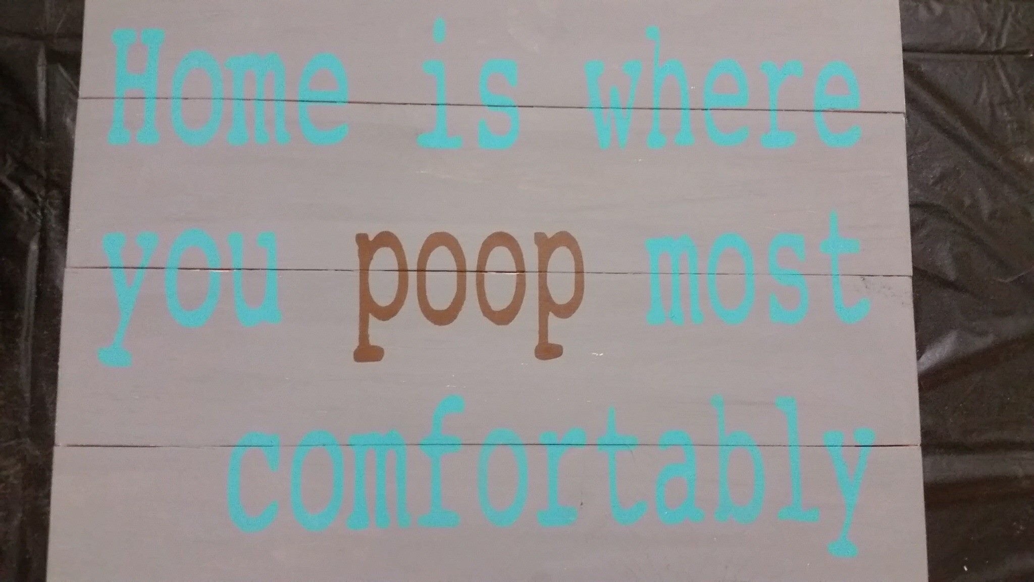 Home is where you poop most comfortably