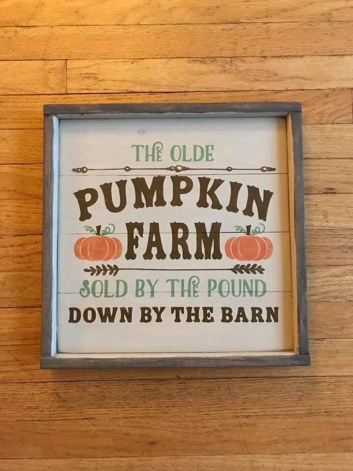 Pumpkin farm sold by the pound
