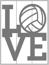 Love volleyball
