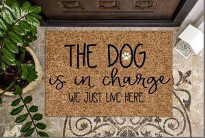 The dog is in charge we just live here